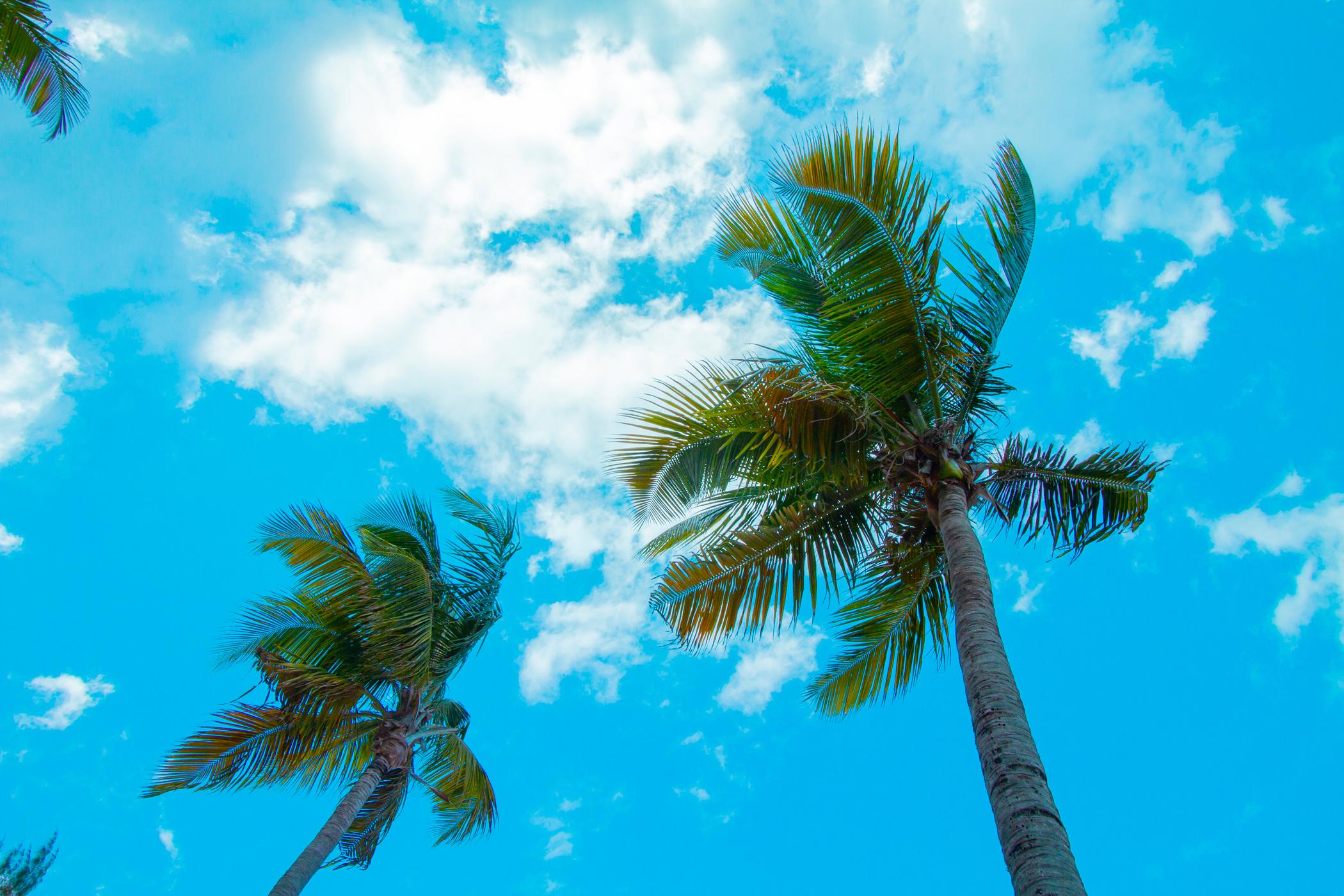 TRYP by Wyndham Isla Verde San Juan Eksteriør billede