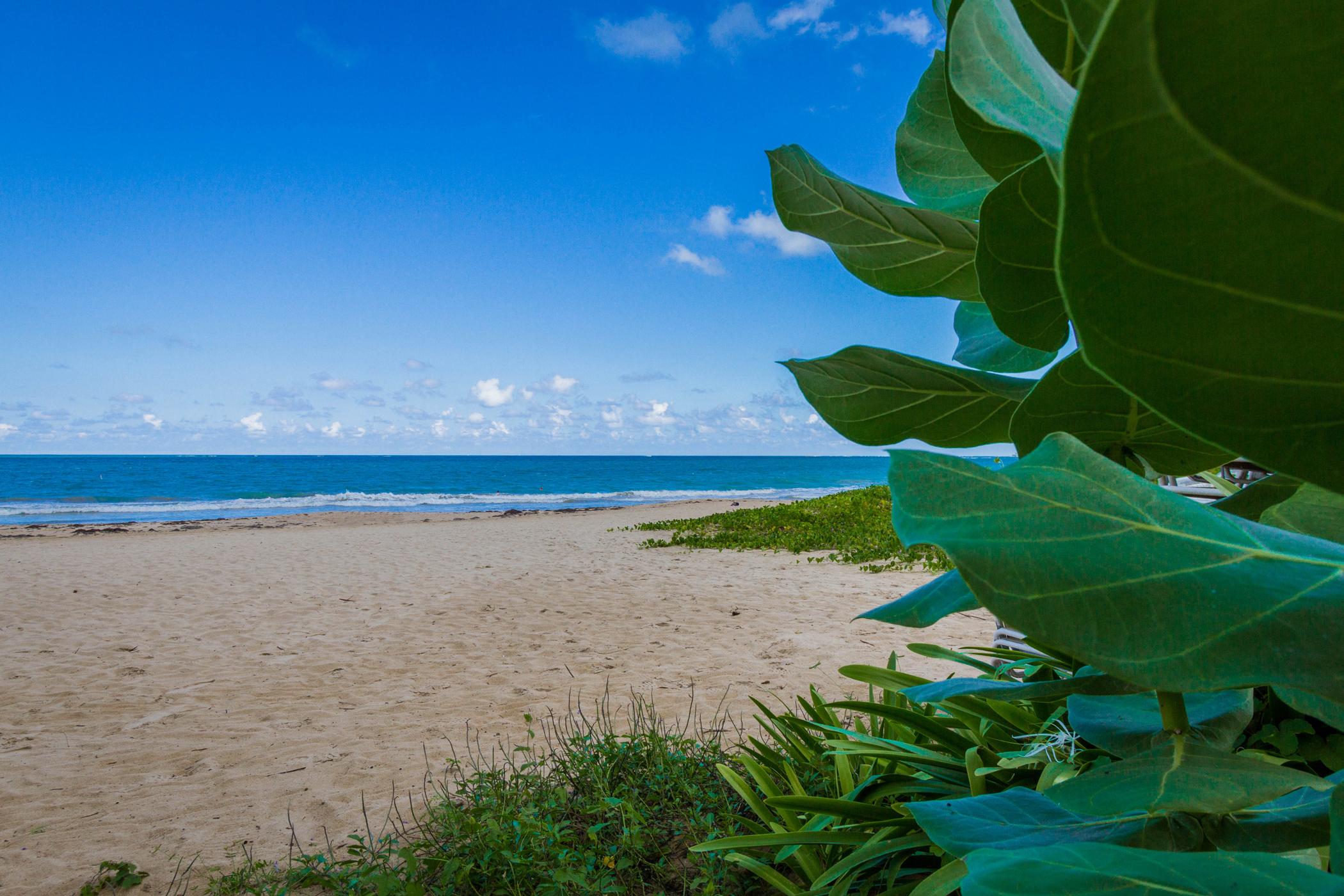 TRYP by Wyndham Isla Verde San Juan Eksteriør billede